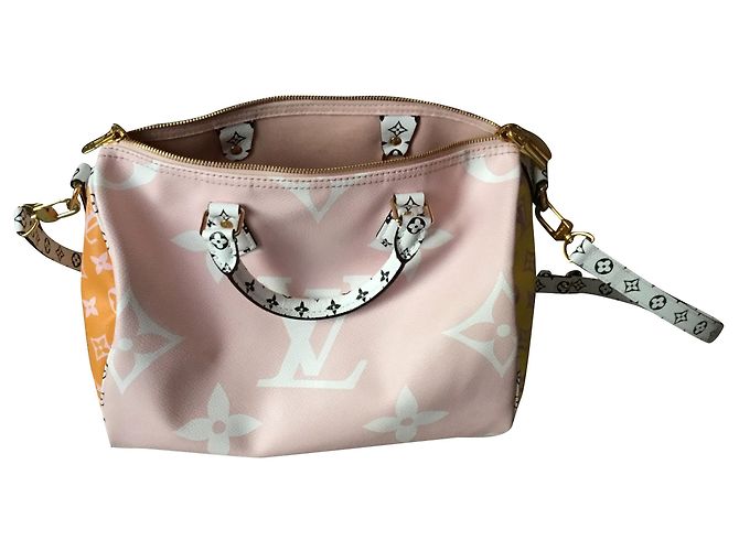 Louis Vuitton Speedy 30 summer Multicolore