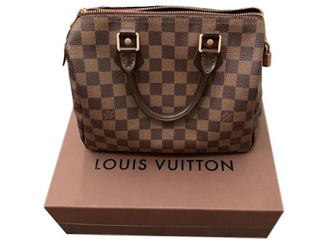 louis vuitton speedy 25 damier