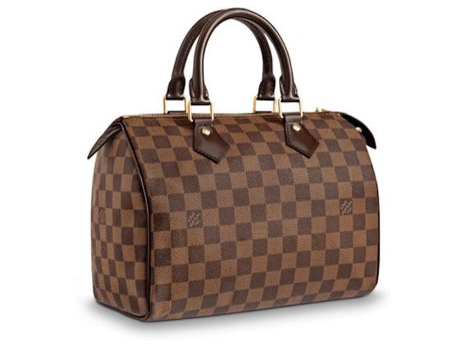 Louis Vuitton Speedy Brown Leather  ref.143046
