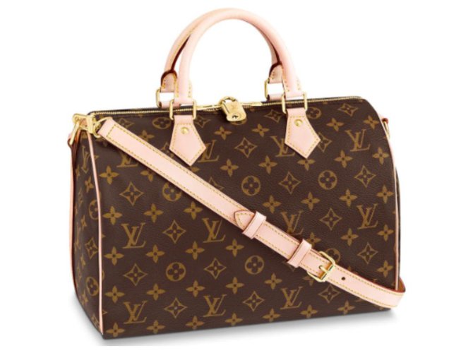 Louis Vuitton Speedy Marrom Couro  ref.143620