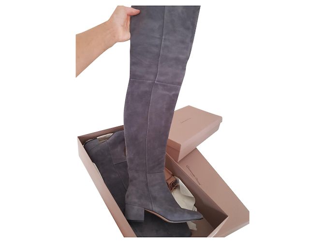 Gianvito Rossi GIANVITTO ROSSI Rolling Mid Overknee-Stiefel aus Wildleder Anthrazitgrau