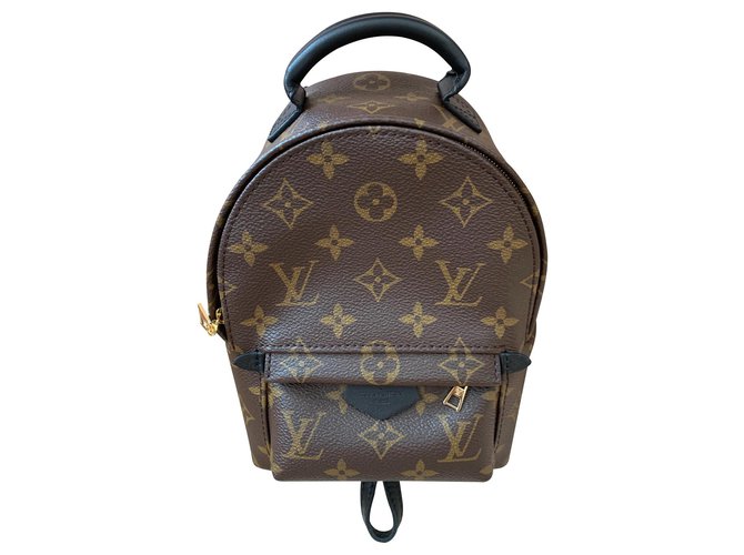 Louis Vuitton Palm Springs Mini Backpack Brown  ref.143930