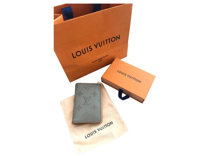 Louis Vuitton pocket organiser Grey  ref.151462