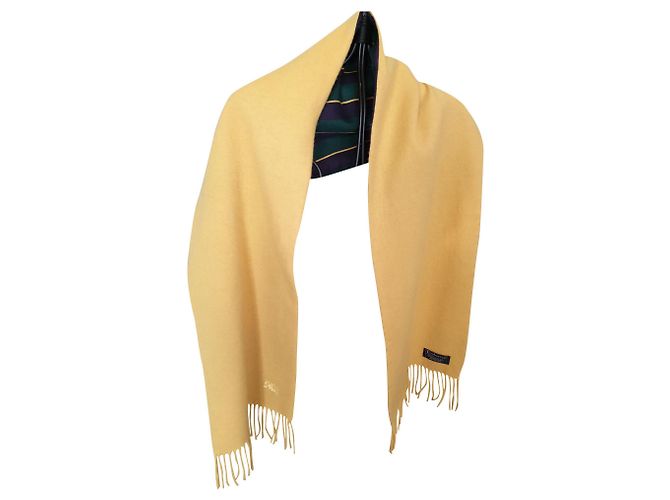 Burberrys Giallo Cachemire