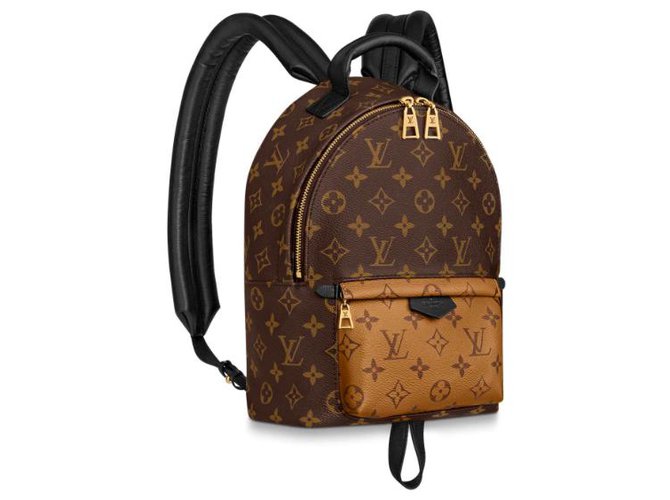 Louis Vuitton Palm Springs LV backpack new Brown Leather ref.155662 - Joli  Closet