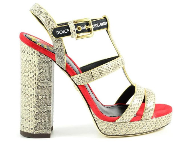 Calfskin sandals with DG logo in Red for | Dolce&Gabbana® US