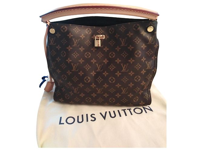 Louis Vuitton Borsa Gaia marrone e nera