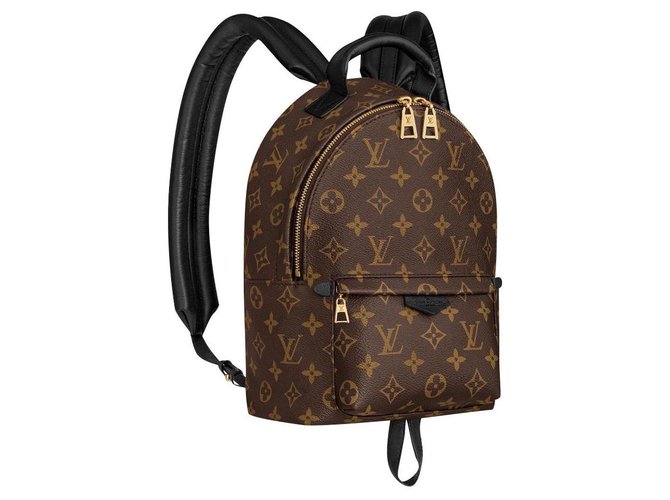 Louis Vuitton mochila nueva Palm Springs Castaño Cuero ref.163058