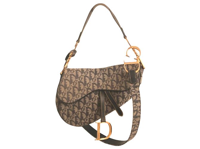 Dior Anúncio Dela Saddle
