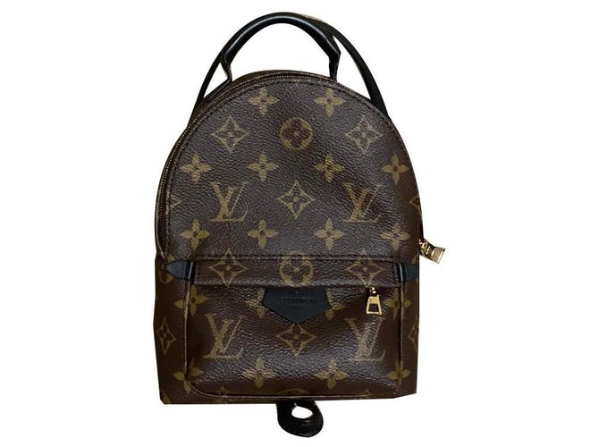 Louis Vuitton Backpacks Brown Leather  ref.170637