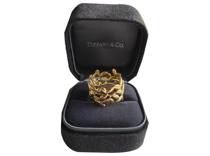 Tiffany & Co Hoja de olivo / hoja de olivo Dorado Oro amarillo  ref.170972
