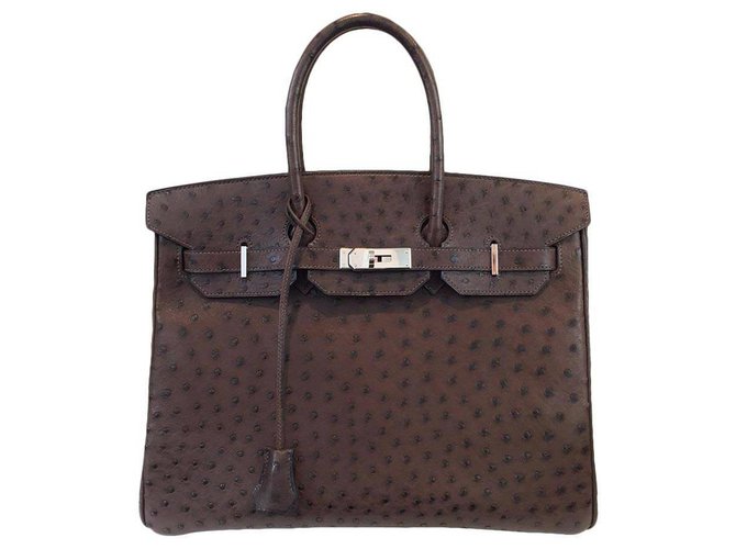 Acapulco Hermès Handbags Brown Exotic leather  ref.177492