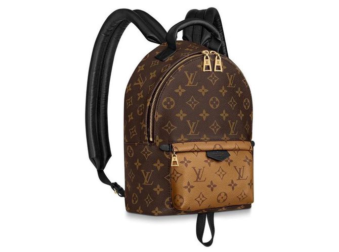 Louis Vuitton Backpacks Multiple colors  ref.180453