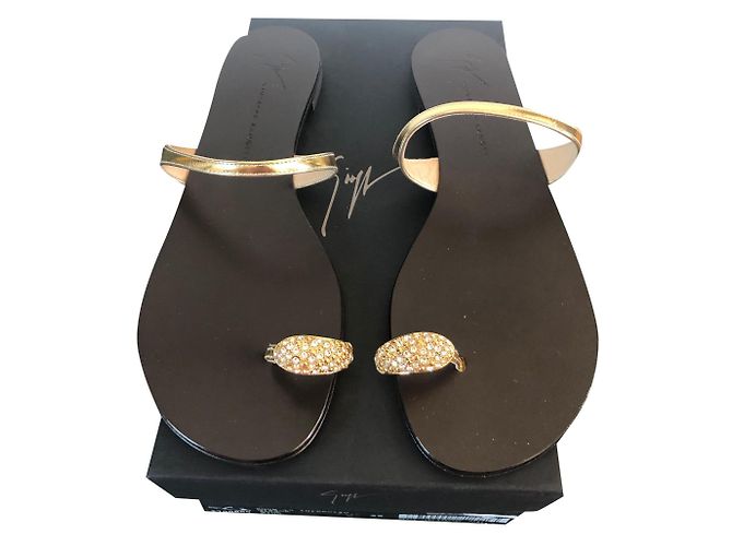 Giuseppe Zanotti Mules