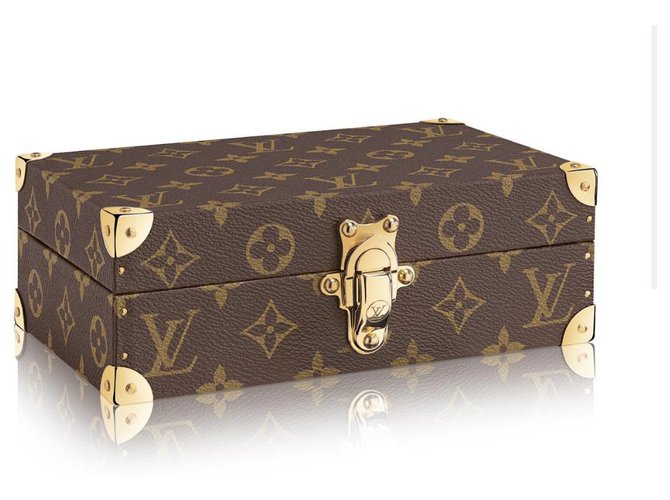 Louis Vuitton LV box case new Brown ref.186180 - Joli Closet