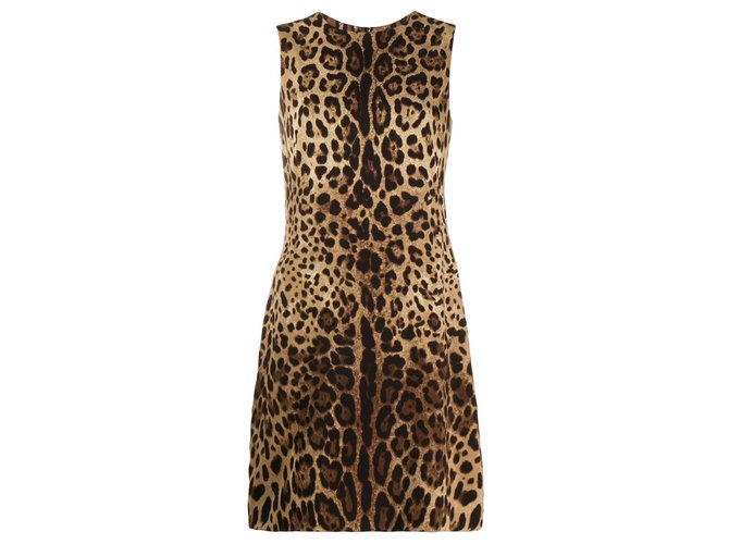 Dolce & Gabbana Abito DG nuovo Stampa leopardo Seta  ref.187474