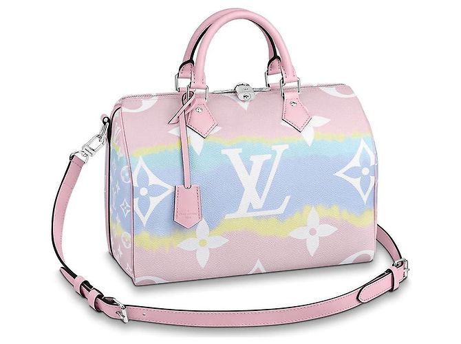 Speedy Louis Vuitton Sacs à main Multicolore