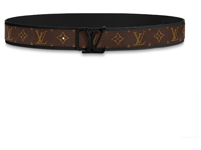 Louis Vuitton LV belt new
