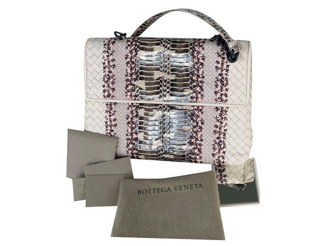 Bottega Veneta Ladies Hand bag Exotic leather  ref.192435