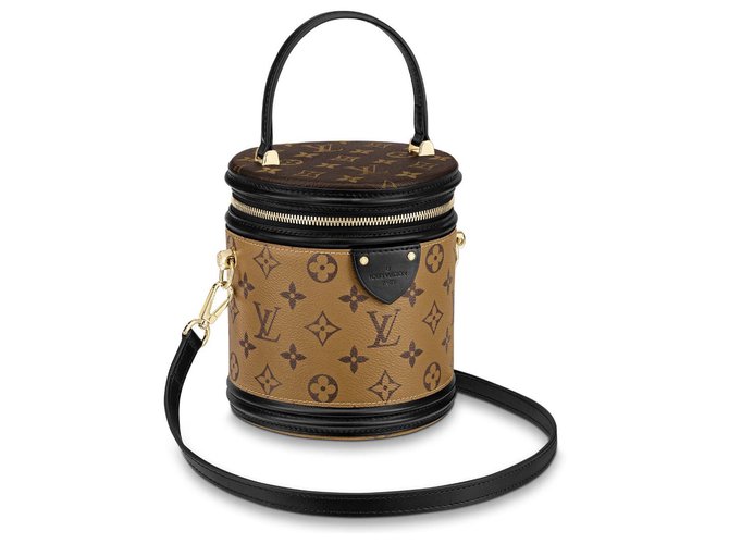 Louis Vuitton LV Cannes shoulderbag new Brown Leather  ref.196218