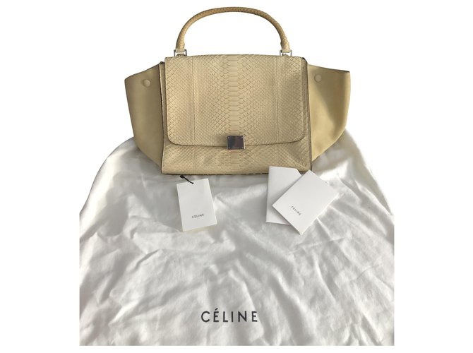 Trapèze Céline Handbags Beige Exotic leather  ref.196829