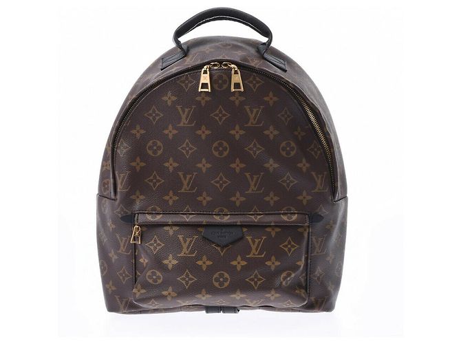 Louis Vuitton Palm Springs Braun