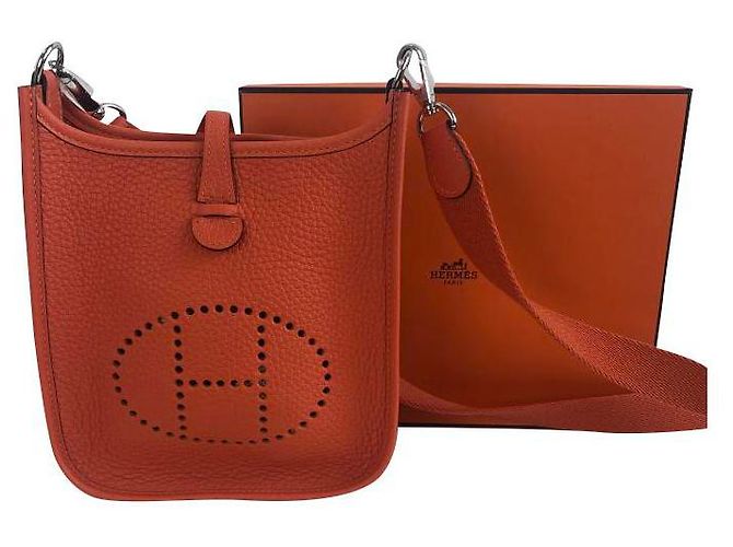 Evelyne Hermès Hermes amazone 16 Mini tpm Naranja
