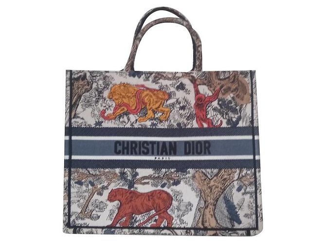 Book Tote Dior Bolsas