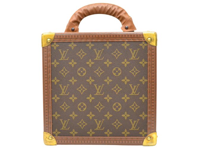 Louis Vuitton Trunk Brown Cloth  ref.216138