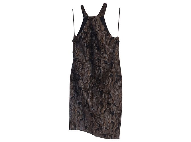 Isabel Marant Pour H&M Python Print Dress