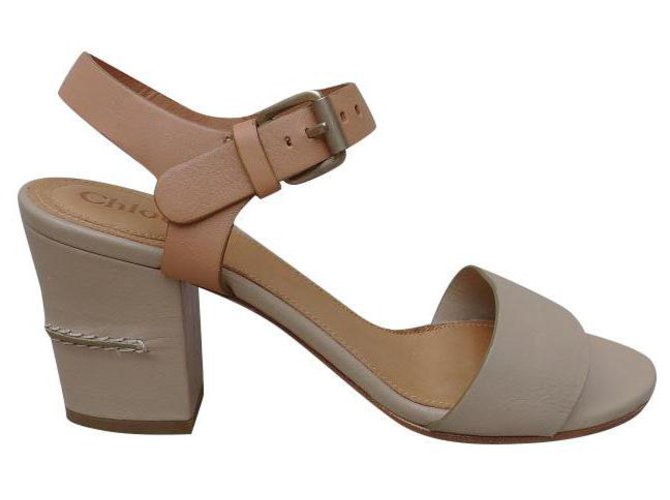 Chloé Sandals Multiple colors Leather  ref.221215