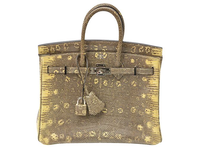 Hermès Birkin 25 lizard leather Multiple colors