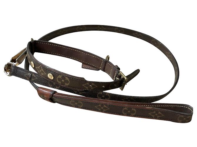 Coleira de cachorro Louis Vuitton com guia Marrom