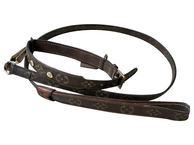 Louis Vuitton dog collar with leash Brown  ref.225165