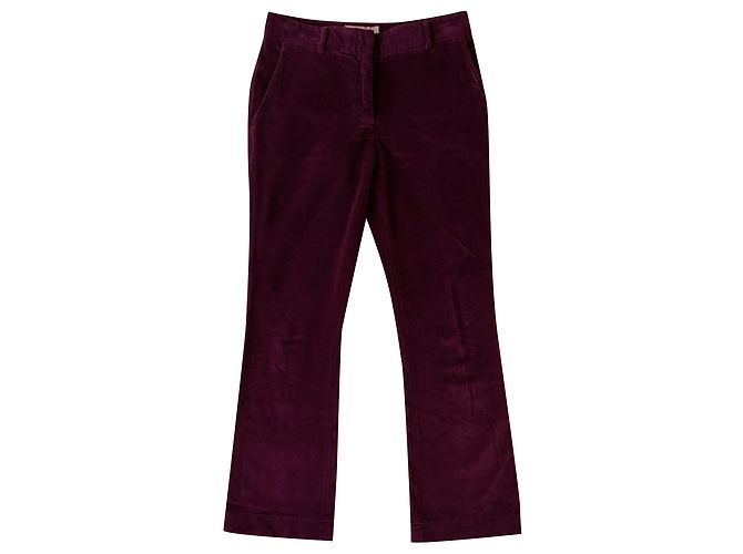 Autre Marque L'autre Wählte eine Samthose Lila