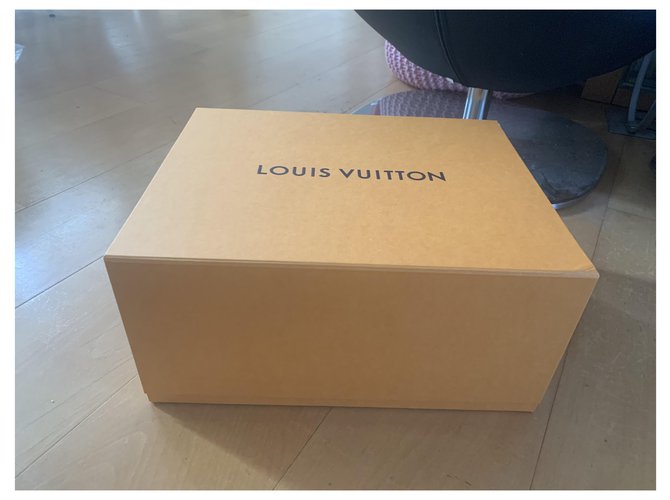 Louis Vuitton Misc Marron clair  ref.228909