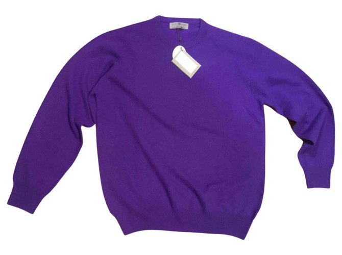 Autre Marque ALAN PAINE Sweater Purple Wool  ref.231253