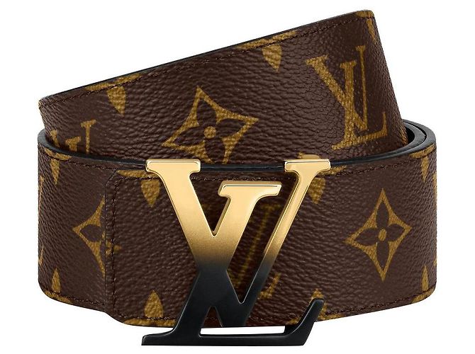 Louis Vuitton LV belt spray logo Brown