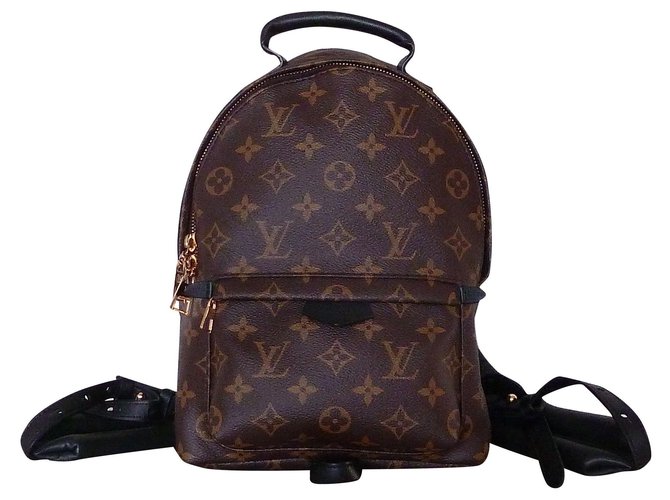 LOUIS VUITTON Palm Springs backpack Brown Cloth  ref.242182