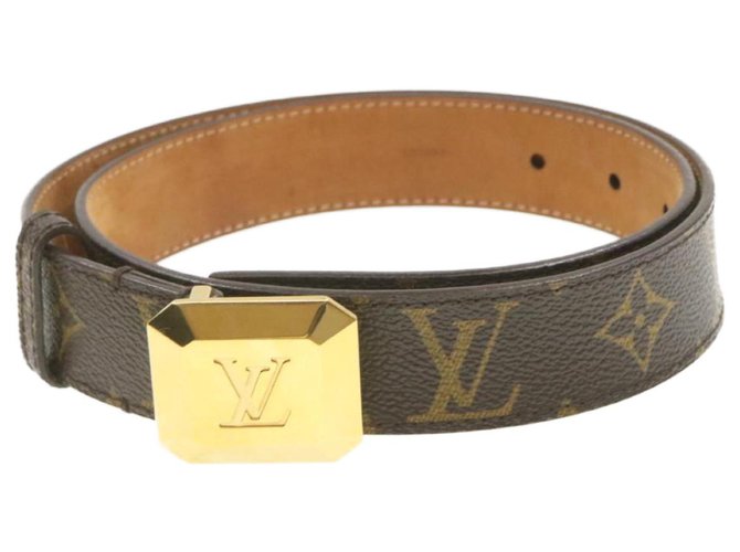 Louis Vuitton Belt Marrom Lona  ref.242281