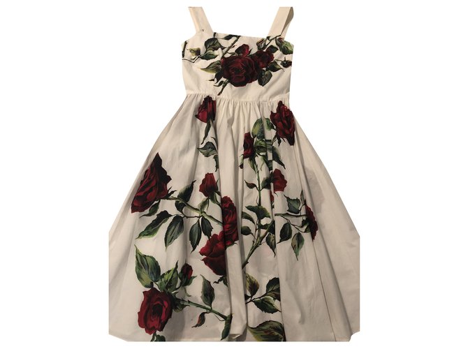 Dolce & Gabbana Dresses White Cotton  ref.244581