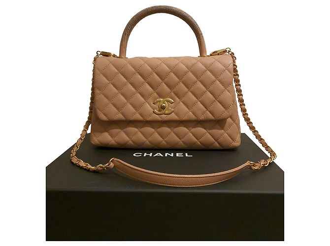 Coco Handle Chanel COCO Griff oben Eidechse Pink Leder