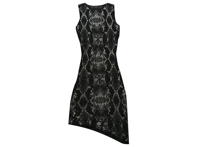 Zadig & Voltaire Cashmere Kleid Schwarz Silbernes Python Muster 