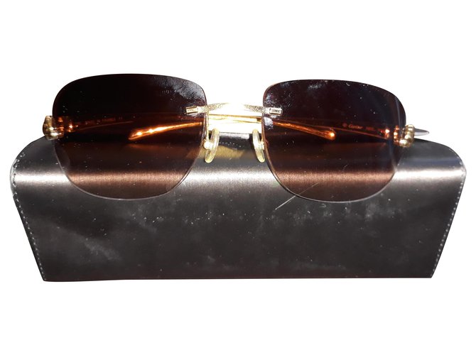 Panthère CARTIER sunglasses Multiple colors Metal  ref.256408