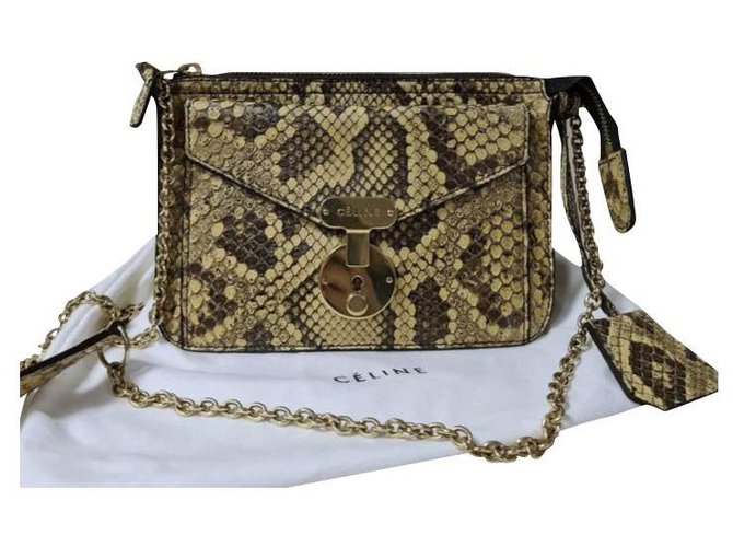 Celine Daoust Celine Python Leather Chain  Shoulder Bag Golden Exotic leather  ref.258772