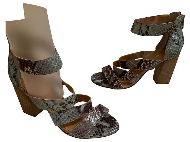 CAROLL Python Print Leather Sandals Blue Multiple colors