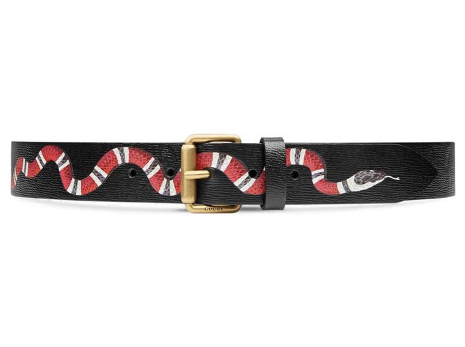 Gucci kingsnake belt new Black Leather Joli Closet