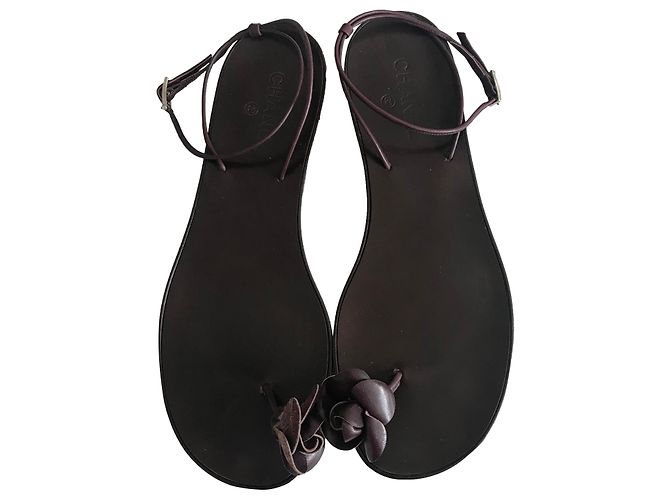 Chanel Camellia Toe Post Thong Sandals Brown
