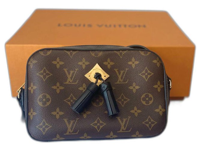 Louis Vuitton Saintonge Dark brown Leather  ref.300199