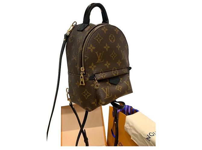 Louis Vuitton Palm Springs Mini Rucksack Braun Leder